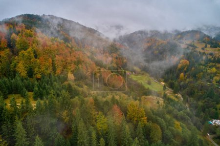 Photo for Fog spreads over the mountains at dawn. The sun rises on the horizon. Ukrainian Carpathians in the morning. Aerial drone view. - Royalty Free Image