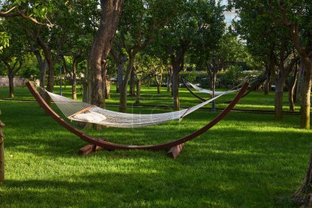 Photo for Beautiful landscape with hammock in the summer garden, sunny day. Selective focus - Royalty Free Image