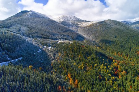 Téléchargez les photos : La première neige est tombée sur la forêt d'automne, tempête froide sous le feuillage jaune. Photo d'oeil d'oiseau prise avec un drone - en image libre de droit