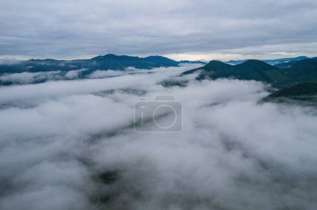 Photo for Landscape with fog in mountains and rows of trees - Royalty Free Image