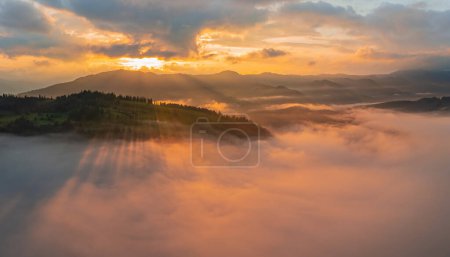 Photo for Landscape with fog in mountains and rows of trees - Royalty Free Image