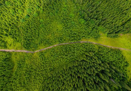 Téléchargez les photos : Vue aérienne de la route de campagne passant par la forêt verdoyante et la montagne. - en image libre de droit