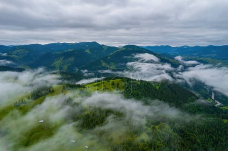 Téléchargez les photos : Le brouillard enveloppe la forêt de montagne. Les rayons du soleil levant traversent le brouillard. Vue aérienne du drone. - en image libre de droit