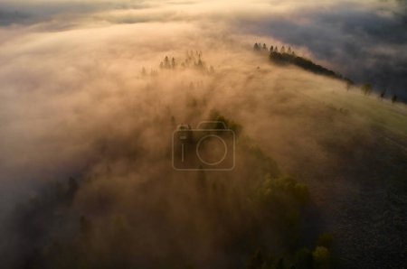 Photo for Fog spreads over the mountains at dawn. The sun rises on the horizon. Ukrainian Carpathians in the morning. Aerial drone view. - Royalty Free Image