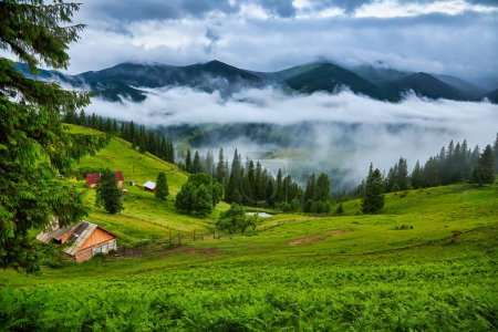 Foto de Paisaje idílico en los Alpes con prados verdes frescos y flores florecientes y cimas nevadas en el fondo - Imagen libre de derechos