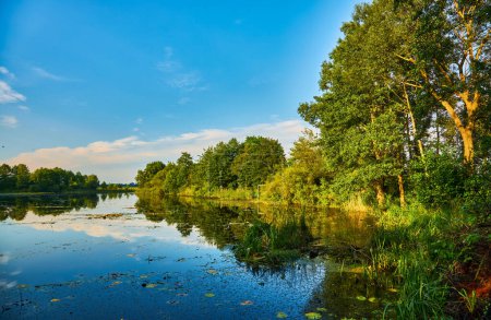 Téléchargez les photos : Coucher de soleil spectaculaire sur le magnifique étang de lac bleu cristal avec des arbres verts et prairie sur le fond. Coup d'arbre Moody dans le parc au printemps avec réflexion de l'eau dans la rivière du lac . - en image libre de droit