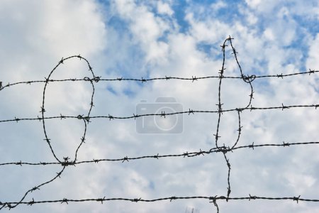 Photo for Barb wire fence and blue sky blackground - Royalty Free Image