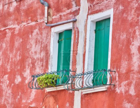 Foto de Ventana con persianas verdes y flores en la maceta. Italia, Venecia, Burano - Imagen libre de derechos