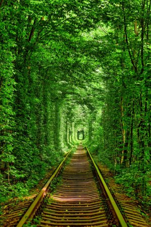 un ferrocarril en el túnel del bosque de primavera del amor en Klevan, Ucrania