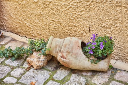 Téléchargez les photos : Vase rustique en argile avec plante près de la maison en pierre typique dans le petit village de pêcheurs - en image libre de droit