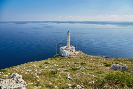 Foto de El faro de Cabo de Otranto en Apulia, sobre duras rocas de granito, es el punto más oriental de Italia, marca el encuentro del mar Jónico y el mar Adriático.. - Imagen libre de derechos