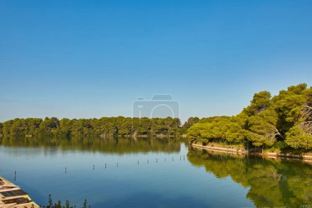 Photo for Apulia landscape: Protected Oasis of Alimini Lakes, Italy. The basin of Alimini Grande is almost completely surrounded by a rocky strip, richly covered by thick pinewoods and Mediterranean scrub. - Royalty Free Image