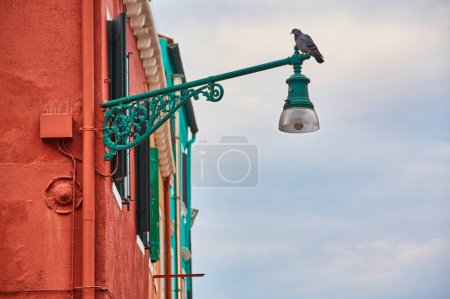 Téléchargez les photos : Île de Burano, murs colorés traditionnels des vieilles maisons communes et une lanterne de rue, arrière-plan architectural, Venise, Italie - en image libre de droit