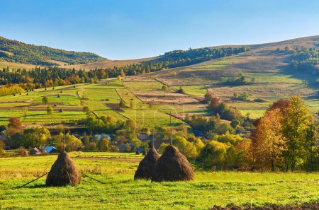 Téléchargez les photos : Scène de paysage d'automne coloré avec clôture en Transylvanie montagne Roumanie - en image libre de droit