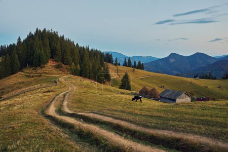 Foto de Paisaje otoñal, pajar en el pasto, vista de las montañas. Los Cárpatos. - Imagen libre de derechos