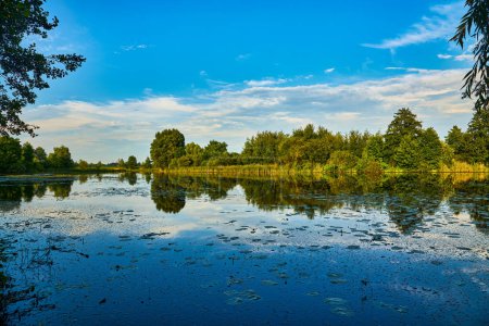 Téléchargez les photos : Coucher de soleil spectaculaire sur le magnifique étang de lac bleu cristal avec arbre vert et prairie sur le fond. Coup d'arbre Moody dans le parc au printemps avec réflexion de l'eau dans la rivière du lac . - en image libre de droit