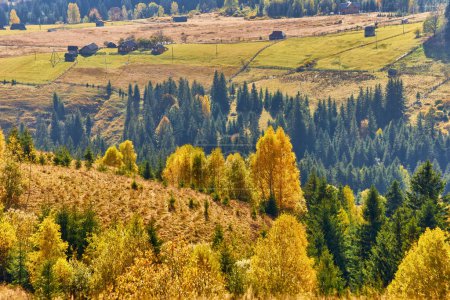 Foto de El paisaje de otoño de montaña con bosque colorido - Imagen libre de derechos