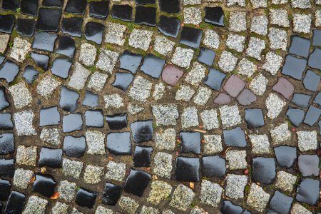 Foto de Textura adoquines de piedra húmeda en el casco antiguo, piedra mojada pavimentación azulejos de piedra después de la lluvia. Diseño con espacio libre de copia de texto. - Imagen libre de derechos