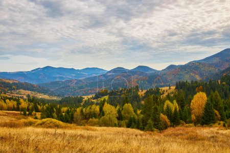 Téléchargez les photos : Le paysage d'automne de montagne avec la forêt colorée - en image libre de droit