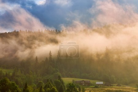 Téléchargez les photos : Paysage abstrait dans les montagnes, avec brouillard dans la forêt - en image libre de droit