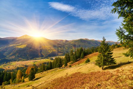 Téléchargez les photos : Un paysage majestueux : des feuilles jaunes, des forêts de conifères et de feuillus entourent un village paisible un matin d'automne dans les montagnes - en image libre de droit
