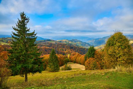Téléchargez les photos : Une scène tranquille : un matin d'automne matinal dans les montagnes avec un village serein niché dans une vallée colorée - en image libre de droit