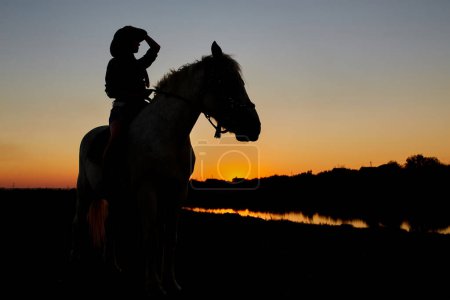 Photo for Silhouette of Cowboy, ride on Arabian horse stallion in colorful sunset. Romantic concept for safari background - Royalty Free Image