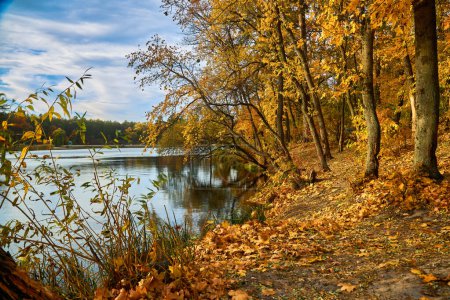 Téléchargez les photos : Paysage d'automne avec forêt colorée. Paysage solaire ambré. Paysage d'été indien. Feuillage coloré sur le lac avec de beaux bois de couleur rouge et jaune. Forêt automnale reflétée dans l'eau
. - en image libre de droit