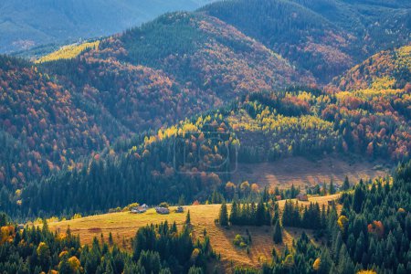Foto de Una impresionante vista de una mañana de otoño en las montañas: un pueblo rural descansando en un valle en medio de un escenario de pinos y bosques mixtos - Imagen libre de derechos