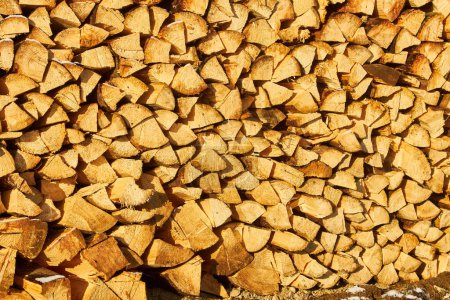 Photo for Firewood natural type of fuel background horizontal picture - Royalty Free Image