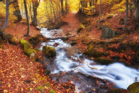 Photo for A majestic autumn river gracefully winds its way through a picturesque mountainous forest. The tranquil waters create a serene atmosphere, reflecting the vibrant hues of the surrounding fall foliage. The enchanting combination of flowing water, tower - Royalty Free Image