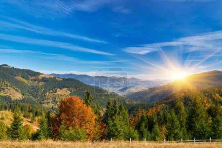 Téléchargez les photos : Le paysage d'automne de montagne avec la forêt colorée - en image libre de droit