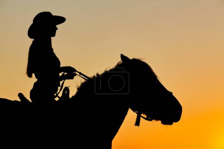 Foto de Silueta de vaquero, montar en caballo árabe semental en colorido atardecer. Concepto romántico para fondo safari - Imagen libre de derechos