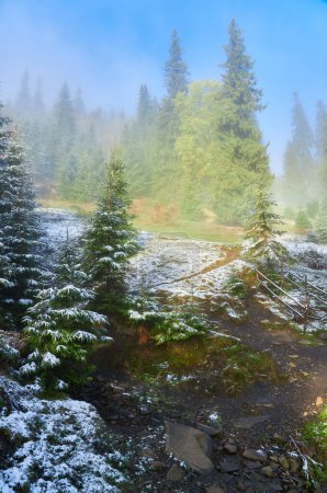 Foto de Un impresionante amanecer ilumina las montañas cubiertas de nieve durante la serena temporada de otoño. Delicados pinos adornan el primer plano, mientras que la niebla envuelve los majestuosos picos en la distancia. La escena captura la belleza y la tranquilidad de la naturaleza ' - Imagen libre de derechos
