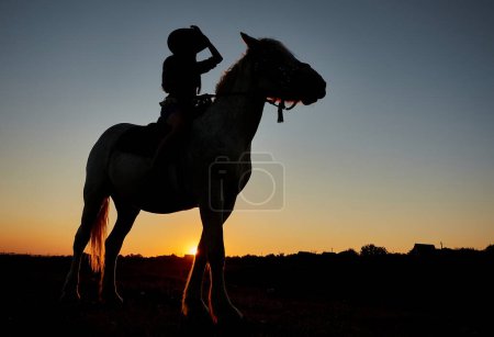 Téléchargez les photos : Silhouette de Cowboy, montez sur un étalon de cheval arabe dans un coucher de soleil coloré. Concept romantique pour fond safari - en image libre de droit