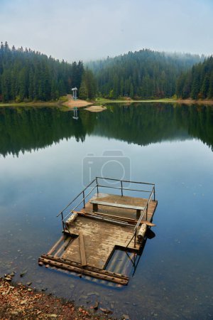 Téléchargez les photos : Plongez dans la beauté à couper le souffle des Carpates en automne. Le captivant lac Synevir reflète les couleurs vives du feuillage environnant. Perdez-vous dans la tranquillité de ce paysage serein, où la nature est pâle - en image libre de droit