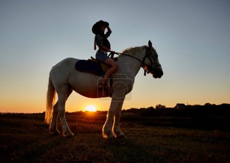 Téléchargez les photos : Silhouette de cow-boy sur un cheval lors d'un beau coucher de soleil. Silhouette d'une fille à cheval
. - en image libre de droit
