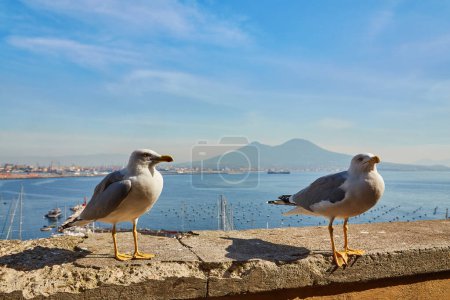 Photo for Seagull on the wall of Castel dell Ovo Egg Castle with panoramic view on mount Vesuvius in Naples, Campania, Italy, Europe. Ferries in the port of Naples. Clouds and sea view. - Royalty Free Image
