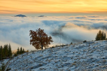 Photo for A serene autumn morning unveils the first snow, showcasing a solitary tree against mist-covered mountains. Delight in the tranquil beauty and harmonious colors - Royalty Free Image