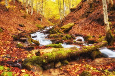 Photo for Embark on a captivating journey as a serene river gracefully winds its way through an enchanting autumn forest. The vibrant colors of the foliage create a breathtaking tapestry, while the soothing sound of the flowing water sets a peaceful ambiance. - Royalty Free Image