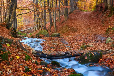Foto de Sumérgete en la serenidad del otoño mientras te encuentras con una pintoresca escena forestal. Un pequeño arroyo serrano serpentea con gracia a través del follaje vibrante, adornado con un encantador puente de madera. - Imagen libre de derechos