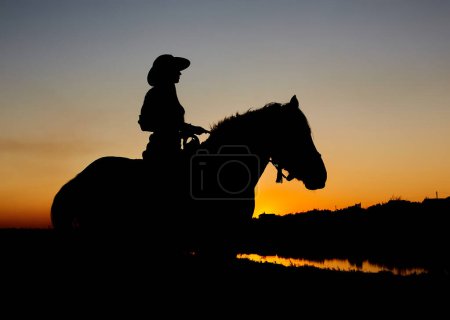 Foto de Silueta de vaquero en un caballo durante el atardecer. Silueta de una chica a caballo
. - Imagen libre de derechos