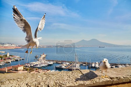 Photo for Seagull on the wall of Castel dell Ovo, Egg Castle with panoramic view on mount Vesuvius in Naples, Campania, Italy, Europe. Ferries in the port of Naples. Clouds and sea view. - Royalty Free Image