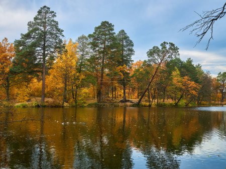 Téléchargez les photos : Paysage d'automne avec forêt colorée. Paysage solaire ambré. Paysage d'été indien. Feuillage coloré sur le lac avec de beaux bois de couleur rouge et jaune. Forêt automnale reflétée dans l'eau
. - en image libre de droit