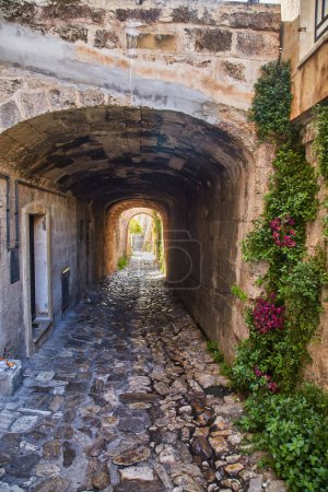 Téléchargez les photos : Polignano al mare - pittoresque petite ville des Pouilles, Italie - en image libre de droit