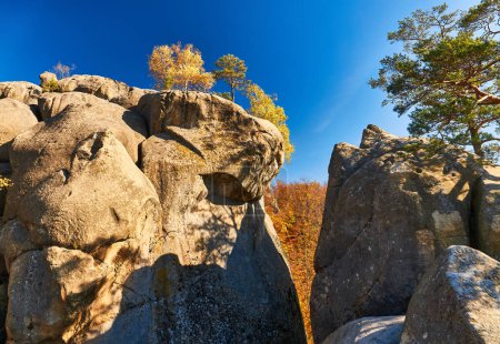 Foto de Rocas Dovbush, grupo de rocas, cuevas naturales y artificiales talladas en piedra en el bosque, el nombre del líder del movimiento opryshky Oleksa Dovbush
. - Imagen libre de derechos