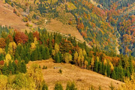 Téléchargez les photos : Un paysage majestueux : des feuilles jaunes, des forêts de conifères et de feuillus entourent un village paisible un matin d'automne dans les montagnes - en image libre de droit