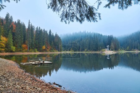 Téléchargez les photos : Plongez dans la beauté à couper le souffle des Carpates en automne. Le captivant lac Synevir reflète les couleurs vives du feuillage environnant. Perdez-vous dans la tranquillité de ce paysage serein, où la nature est pâle - en image libre de droit