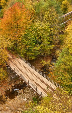 Téléchargez les photos : Plongez dans la sérénité de l'automne alors que vous rencontrez une scène forestière pittoresque. Un petit ruisseau de montagne serpente gracieusement à travers le feuillage vibrant, orné d'un charmant pont en bois. - en image libre de droit