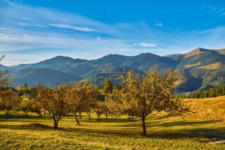 Téléchargez les photos : Entrez dans un monde enchanteur alors que vous contemplez la splendeur de l'automne dans les Carpates. Des sommets majestueux s'élèvent majestueusement sur fond de feuillage vibrant, créant une tapisserie de couleurs envoûtante. Nuances de pourpre, d'ambre et d'or d - en image libre de droit